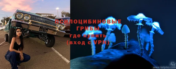 сатива Белоозёрский
