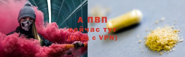 ECSTASY Белокуриха