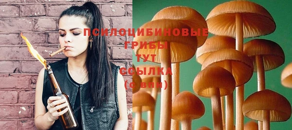 ECSTASY Белокуриха
