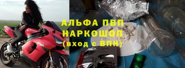 сатива Белоозёрский